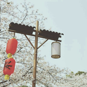 中国小伙子和老太做爰全过程
